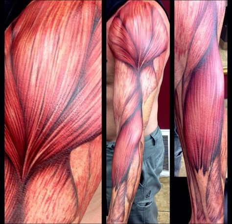 Muscle tattoo Muscular Tattoo, Forearm Muscle Anatomy, Flesh Tattoo, Biomechanical Tattoo Design, Anatomy Tattoo, Forearm Muscles, Muscle Tattoo, Biomechanical Tattoo, Muscle Anatomy