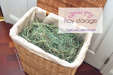 Cali Cavy Collective: a blog about all things guinea pig: Guinea Pig Hay Storage Rabbit Storage Ideas, Bunny Hay Storage, Bunny Storage Ideas, Hay Storage Ideas Bunny, Rabbit Hay Storage, Hay Storage Ideas, Storage Wicker, Pig Habitat, Guinea Pig Diy