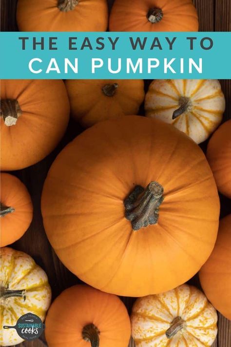 How To Can Pumpkin Butter, Diy Canned Pumpkin, Pumpkin Pie Canning Recipes, How To Can Pumpkin Pie Filling, Canning Pumpkin Pie Filling, How To Can Pumpkin Puree, How To Can Pumpkin, Canning Pumpkin Puree, Pumpkin Canning