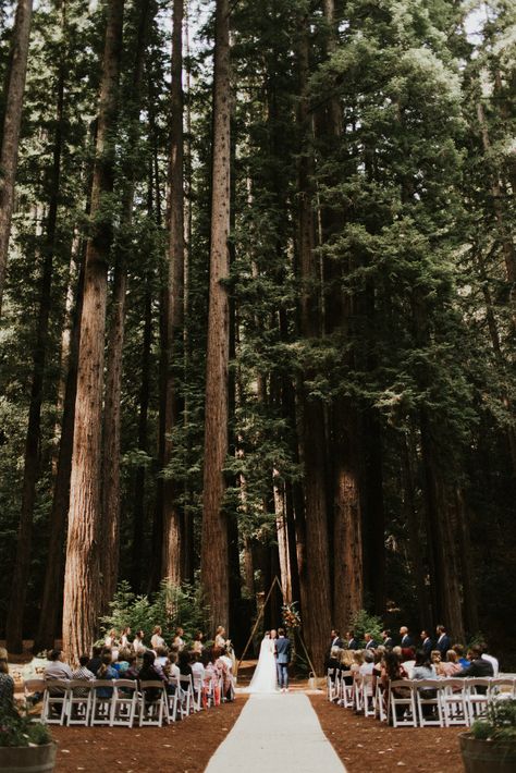 Earthy Wedding Arch, Forest Green Wedding Aesthetic, Washington Wedding, Wedding Venues Washington State, Enchanted Forest Wedding Theme, Redwood Forest Wedding, Ben Lomond, Twilight Wedding, Forest Wedding Venue