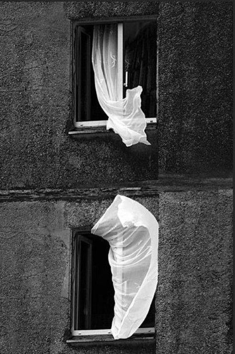 Wind Photography, Blowin' In The Wind, Soyut Sanat Tabloları, Black White Photos, Black N White, Black And White Photographs, Photography Inspo, Window Curtain, White Photography