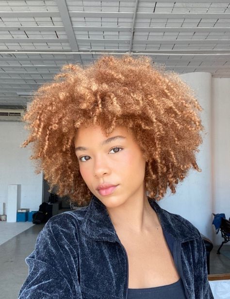 Natural Copper Blonde Hair, Honey Blonde Afro, Afro Hair Inspiration, Hair Shape, Blonde Afro, Pixie Haircut Ideas, Dyed Curly Hair, Haircuts Ideas, Ginger Hair Color