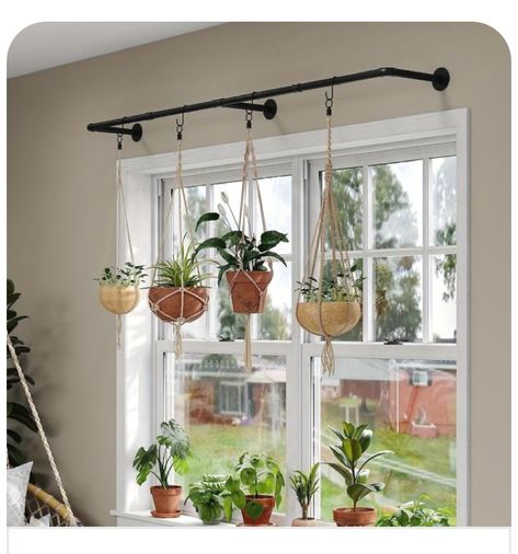 Pipe Clothes Rack, Bay Window Living Room, Wall Mounted Planters, Vertical Wall Planters, Hanging Clothes Racks, Heavy Duty Clothes Rack, Hanging Plant Wall, Vertical Planter, Indoor Window