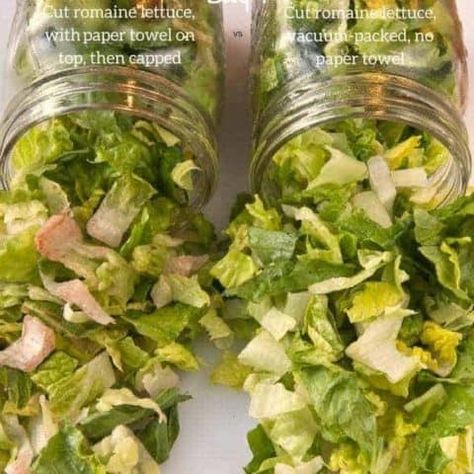 Cut lettuce in a Mason jar is tested with and without vacuum-packing.#lettuce #storage #vacuum-packing #Mason Jars Lettuce Storage, Canning Beef Stew, Storing Lettuce, Food Saver Hacks, Vacuum Sealing Food, Food Saver Vacuum Sealer, Preserving Vegetables, Jar Salad, Preserving Foods