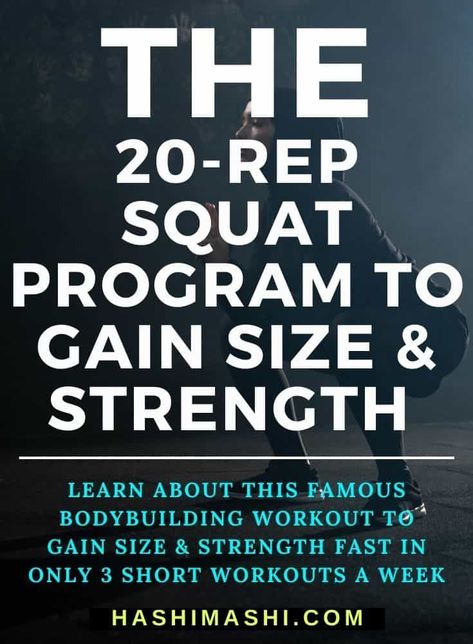 20 rep squat program - learn about this famous old school bodybuilding workout to gain size and strength fast in only 3 short workouts a week. the 20 rep squat program | 20 rep squat program | 20 rep breathing squat program Squat Program, Old School Bodybuilding, Squat Routine, Squat Technique, Yoga Breathing Techniques, Squats Workout, Dumbbell Workouts, Bodybuilding Program, Weighted Squats