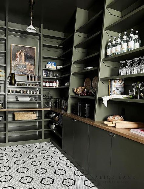 Moss Green Pantry Cabinets and Shelves - Transitional - Kitchen Green Shelves, Pantry Room, Butler’s Pantry, Tiger Oak, Kitchen Pantry Storage, Large Pantry, Kitchen Pantry Design, Butler Pantry, Green Cabinets