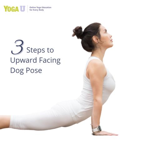 Yoga teacher Bridget Frederick shares 3 tips to help demystify Upward-Facing Dog Pose. In this article, learn several Up Dog variations including how to use props to improve the experience, accessibility and enjoyment of this often glossed-over pose. #yogapractice #yogatips #yogainspo #yogapose #upwardfacingdogpose #yoga #yogainspiration #yogalove #yogalife #yogagirl #yogachallenge #yogadaily #namaste #yogini #yogaaddict #asana Up Dog Yoga Pose, Upward Dog Yoga Pose, Upward Facing Dog Pose, Upward Dog, Yoga Education, Upward Facing Dog, Plank Pose, Yoga Inspo, Downward Facing Dog