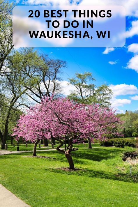 Discover the 20 best things to do in Waukesha, WI. Including Fox River Park, Waukesha County Historical Society & Museum, Retzer Nature Center and more. Retzer Nature Center, Waukesha Wisconsin, Sky Zone, Expo Center, Spring City, Community Theater, Adventure Bucket List, River Park, Trampoline Park