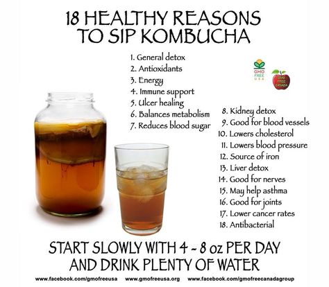 Kombucha tea Benefits Of Kombucha, Autogenic Training, Good Gut Health, Kombucha Benefits, Kombucha Scoby, Kombucha Recipe, Homemade Kombucha, Kidney Detox, Homemade Detox