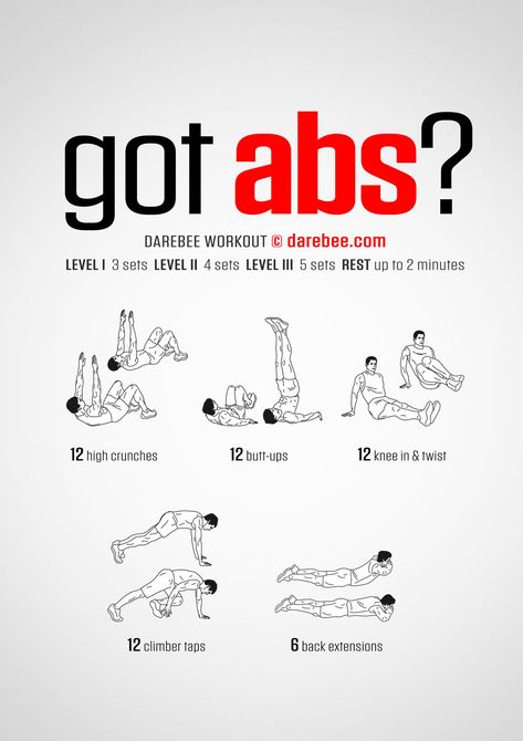 Got Abs? Workout Ab Dumbell Workout, Dumbell Abs, Badminton Workout, Darebee Workout, Chair Exercises For Abs, Pre Workout Stretches, Full Body Workout No Equipment, Workouts Cardio, Before Bed Workout