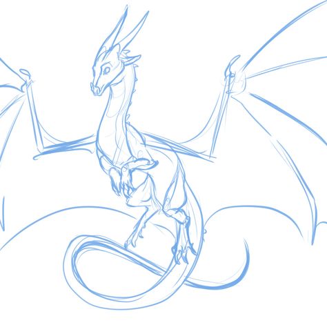 Dragon Poses, Dragon Anatomy, Dragon Base, Tattoo Back, Here Be Dragons, Wings Of Fire Dragons, Dragon Sketch, Creature Drawings, Wings Of Fire