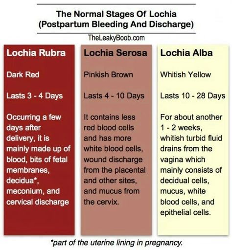 Stages of Lochia: postpartum bleeding Ob Nursing Student, Obstetrics Nursing, Newborn Nursing, Midwifery Student, Postpartum Nursing, Child Nursing, Student Midwife, Ob Nursing, Mother Baby Nurse