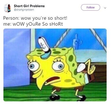 15 Short-Girl Memes That Are Depressingly Relatable - Memebase - Funny Memes Spongebob Chicken Meme, Mocking Spongebob, Meme Spongebob, Be More Chill, Hamilton Musical, Dear Evan Hansen, Spongebob Memes, Alexander Hamilton, Reaction Pics