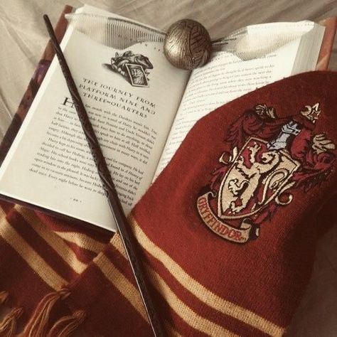 Gryffindor Pride, Gryffindor Aesthetic, Harry Potter Wall, Harry Potter Book, Buku Harry Potter, Theme Tattoo, Harry Potter Images, Images Harry Potter, Hogwarts Aesthetic