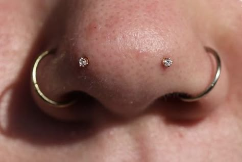 Front Nose Piercing, Vertical Nose Tip Piercing, Forward Facing Nostril Piercing, Mantis Nose Piercing, Forward Nostril Piercing, Austin Bar Piercing, Mantis Piercing, Nose Bridge Piercing, Black People Tattoos