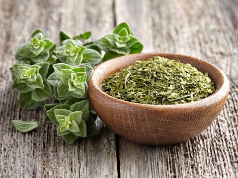 Fresh oregano herb and a wooden bowl of dried oregano on a wooden table Antiviral Essential Oils, Pizza Marinara, دورة شهرية, Salvia Officinalis, Turmeric Recipes, Oregano Leaves, Oregano Oil, Crassula Ovata, Aromatic Herbs