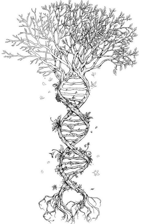 Affirmation Tattoos, Spiritual Tattoo, Dna Tattoo, Gay Tattoo, Religious Tattoos, Inspiration Tattoos, Tree Of Life Tattoo, Spiritual Tattoos, Tattoo Designs And Meanings