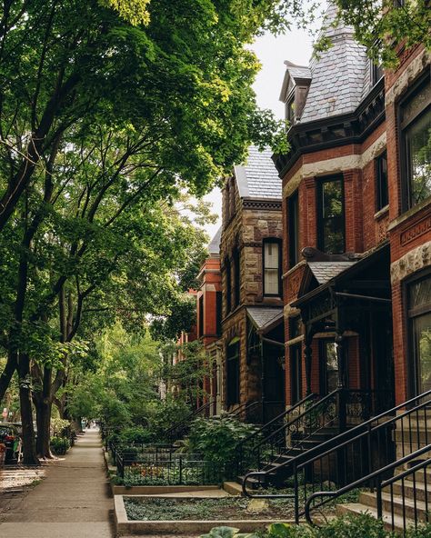 Strolling through Lincoln Park. Chicago’s hidden gem where city meets nature. The skyline peeks through, but all you feel is calm and serenity. Whether it’s the gardens, the zoo, or just these quiet streets, there’s something so grounding here ☺️ #LincolnPark #ChicagoDays #CityEscape #sonyalphafemale Chicago Lincoln Park, Lincoln Park Zoo Chicago, Hyde Park Chicago, Lincoln Park Chicago, Lincoln Park Zoo, Chicago House, Lincoln Park, The Zoo, Hyde Park