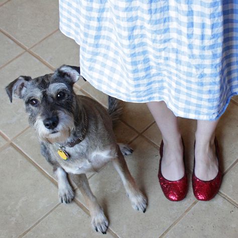 How-to: DIY Ruby Slippers Diy Dorothy Shoes, Diy Ruby Slippers, Diy Ruby Red Slippers Wizard Of Oz, Ruby Shoes Wizard Of Oz, Wizard Of Oz Red Shoes, Wizard Of Oz Red Slippers, Wizard Of Oz Costumes Diy, Oz Costume, Dorothy Shoes