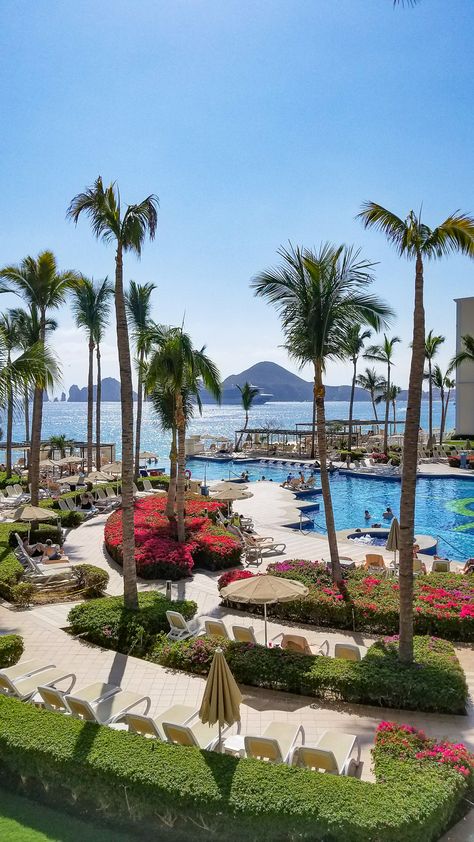 Christmas trees and holly can wait...We are loving palms and bougainvillea! The gardens at RIU Palace Cabo San Lucas are so gorgeous! Riu Cabo San Lucas, Riu Palace Cabo San Lucas, Tropical Travel Destinations, Riu Palace, Bucket List Vacations, Tropical Travel, Tropical Destinations, Mexico Vacation, Romantic Places