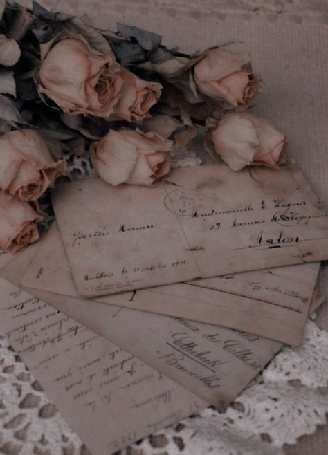 Book Wallpaper, Things That, Iphone Wallpaper, Roses, Iphone, Books, Flowers