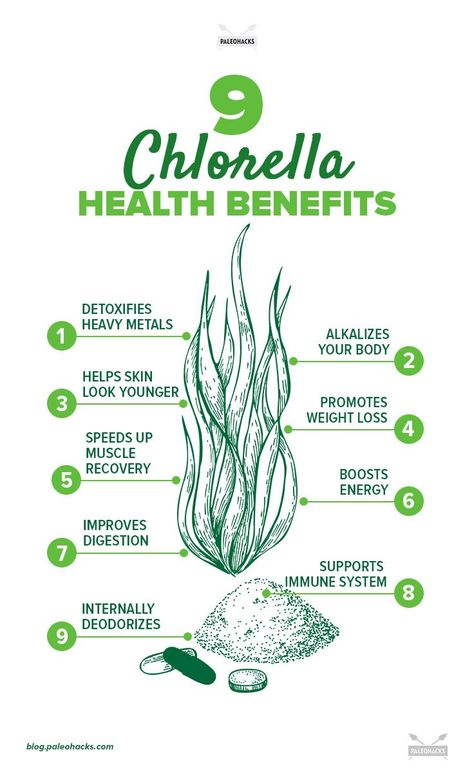 Benefits Of Chlorella, Health Hacks, Post Workout Recovery, Recovery Workout, Colon Cleanse, Detox Your Body, Plant Protein, Improve Digestion, Boost Energy