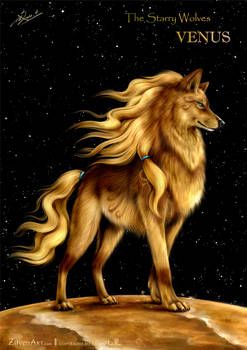 Fall-wolf under the moon by ZilvenArt on DeviantArt Golden Wolf, Fantasy Wolf, Wolf Spirit Animal, Wolf Wallpaper, Wolf Love, Mythical Animal, Wolf Drawing, Wolf Pictures, Wolf Spirit