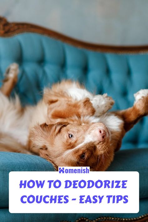 Remove Pet Odor From Couch, Furniture Odor Eliminator, Couch Smells Like Dog, Couch Freshener Diy, Get Dog Smell Out Of Couch, Remove Dog Smell From Couch, Furniture Deodorizer Pet Odors, How To Get Odor Out Of Couch, Refresh Couch Cushions Smell