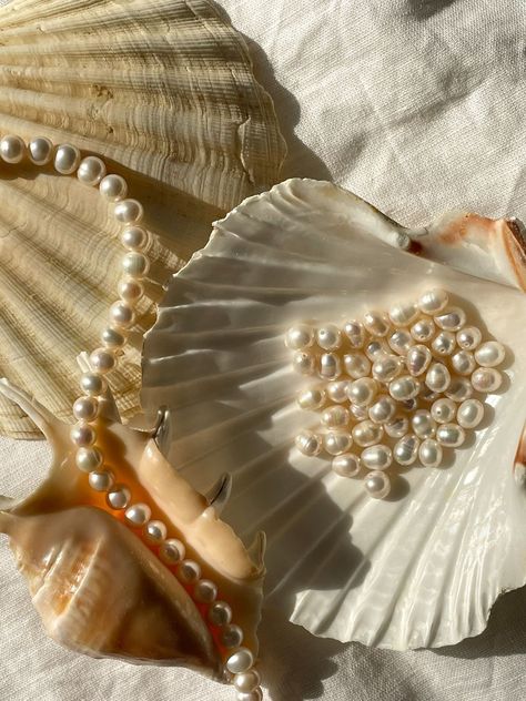 Vintage Pearls Aesthetic, Pearls Aesthetic Wallpaper, Pearl Jewelry Aesthetic, Shells Aesthetic, Pearls Aesthetic, Shells And Pearls, Pearl Aesthetic, Pearl Wallpaper, Mermaid Aesthetic