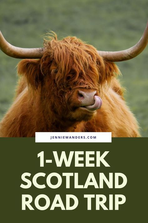 1 Week in Scotland Itinerary + Road Trip (2022) Scotland Bucket List, Scotland Itinerary, Road Trip With Dog, Scotland Hiking, Best Road Trips, Scotland Road Trip, Glen Coe, Road Trip Routes, Visit Scotland