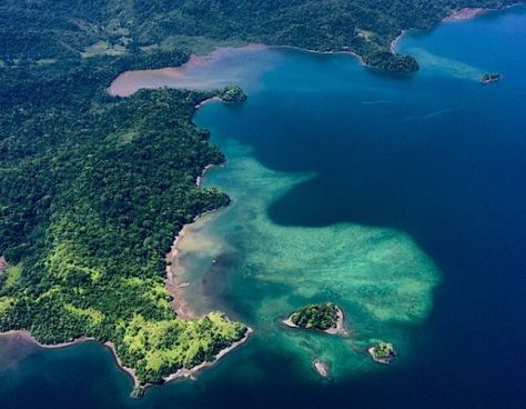 Best Things To Do on the Osa Peninsula | Costa Rica Experts Costa Rica Hiking, Costa Rica Waterfall, Osa Peninsula Costa Rica, Essential List, Costa Rica Luxury, Costa Rica Travel Guide, Corcovado National Park, Visit Costa Rica, Water Rafting