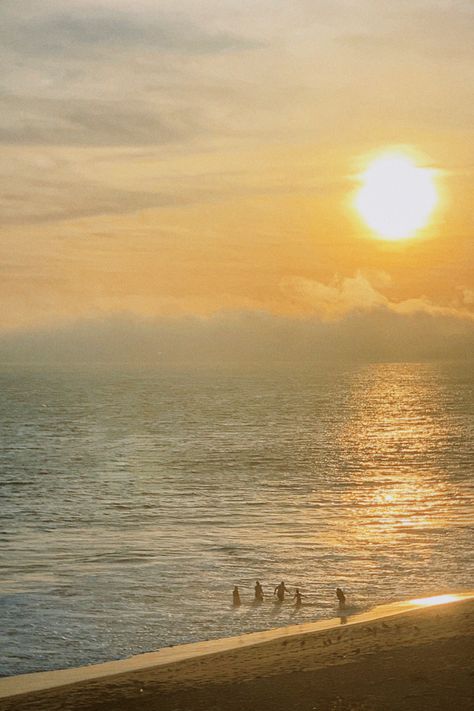 Sunset Vintage Aesthetic, Beach Golden Hour Aesthetic, Beach On Film Aesthetic, Sunny Yellow Aesthetic, Golden Beach Aesthetic, Film Beach Aesthetic, Yellow Beach Aesthetic, 70s Beach, Beach Film Aesthetic