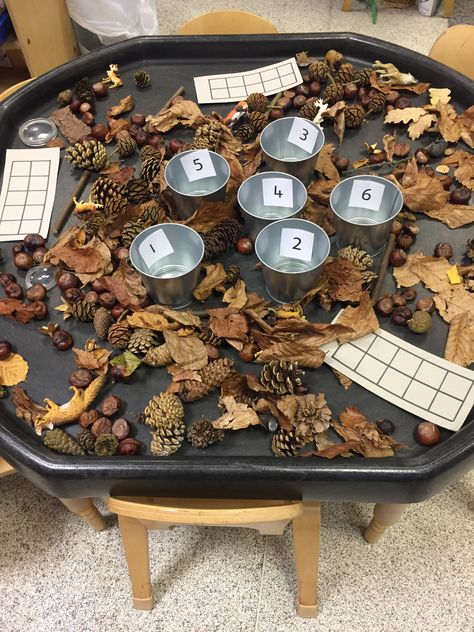 Curiosity Approach Tuff Tray Ideas, Fall Reggio Emilia Activities, Autumn Activities Eyfs, Autumn Tough Tray Ideas, Counting Tuff Tray, Autumn Provision Eyfs, Autumn Maths Eyfs, Autumn Maths Activities, Autumn Continuous Provision Eyfs