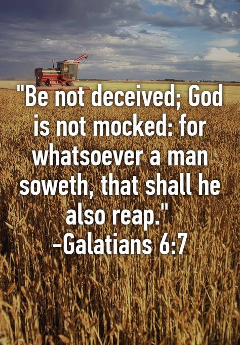 ""Be not deceived; God is not mocked: for whatsoever a man soweth, that shall he also reap."  -Galatians 6:7" Deceived Quotes, Mocking Quotes, God Is Not Mocked, Book Of Galatians, Galatians 6 7, Reap What You Sow, God's Promise, Good Prayers, Bible Notes