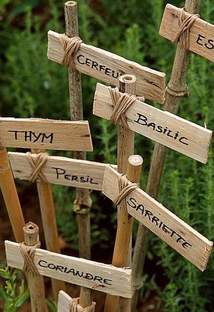 Garden Labels, Plant Labels, Veg Garden, School Garden, Garden Markers, Have Inspiration, Plant Markers, Vegetable Garden Design, Garden Signs