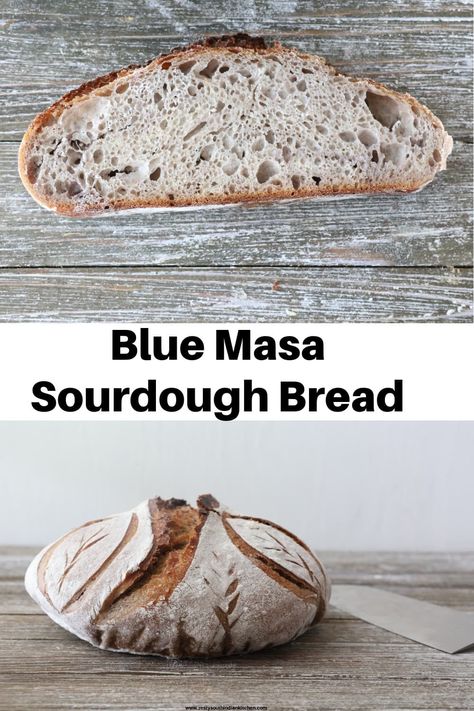 Blue masa sourdough is a distinctive variation of sourdough bread that incorporates blue masa, which is a type of corn masa made from blue corn. It has an earthy, nutty tasting butterfly pea flower as well as blue corn. #sourdoughbread #zestysouthindiankitchenrecipes #sourdough Tortilla Recipe Masa, Masa Bread Recipe, Masa Tortilla Recipe, Masa Recipes, South Indian Kitchen, Bread Dipping Oil, Butterfly Pea Flower Tea, Proofing Baskets, Griddle Cooking