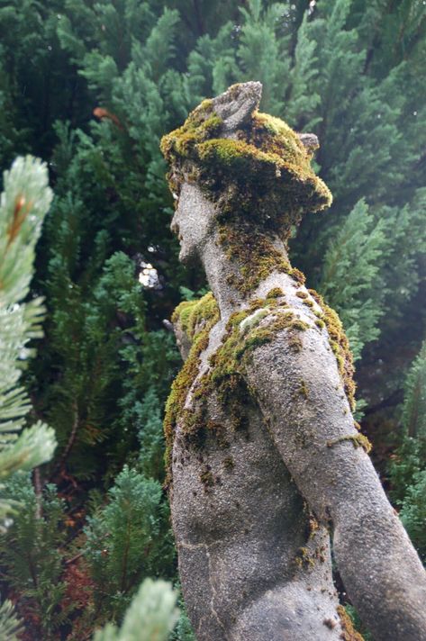 Forest Guardian, Nik Naks, Stone Statue, Moss Garden, Stone Statues, Skylark, Nature Garden, Garden Gates, Garden Statues