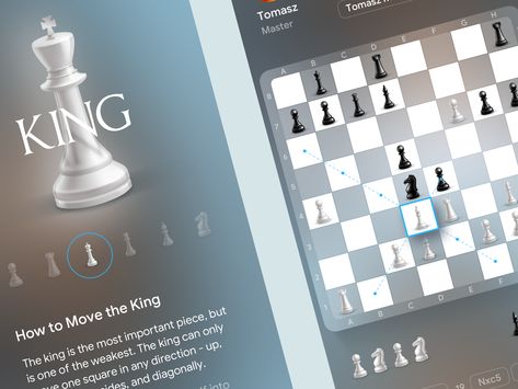 Chess Images, Chess App, Chess Online, Graphics Game, Credit Card Design, Digital Board, App Concept, Game Interface, Game Ui Design