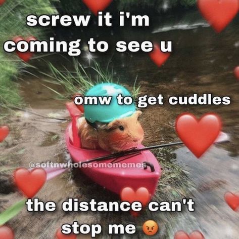 Cuddling Meme, Wholesome Pictures, Couple Memes, Cute Texts For Him, I Love My Girlfriend, Cute Messages, Love My Boyfriend, Lovey Dovey, Relationship Memes