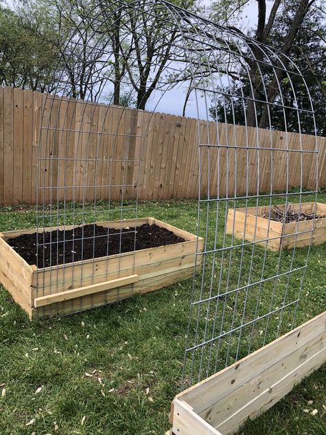 Garden Beds Vegetable, Veggie Patch Fence, Flower Garden Accessories, Garden Vegetable Patch Ideas, Gardening Area Ideas, Vegetable Garden Set Up, Gardening Planters Ideas, Best Raised Bed Garden Layout, Raised Garden Beds Enclosed