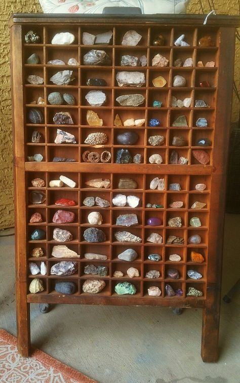 Printers tray for rock collection display! Rock Collection Display Ideas, Diy Food Display, Collection Display Ideas, Rock Collection Display, Ormanlık Alan, Deco Nature, Printers Tray, Collection Display, Rock Collection