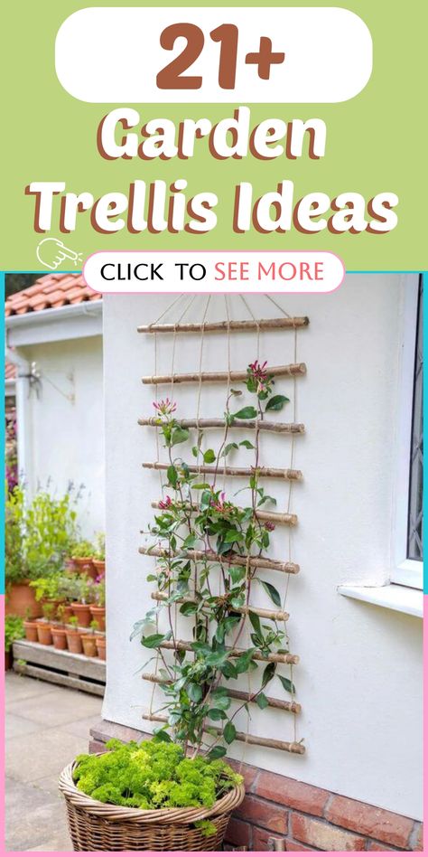 Discover innovative Garden Trellis Ideas to elevate your outdoor space with charm and practicality. Enhance your garden by incorporating trellises creatively, whether you're cultivating climbing plants, seeking a focal point, or desiring privacy. Embrace the versatility of trellises to maximize space while beautifying your garden. Transform your outdoor oasis into a lush and inviting sanctuary with these inspiring ideas. Explore the potential of Garden Trellises today! Cheap Trellis Ideas, Star Jasmine Trellis, Cheap Trellis, Dry Riverbed Landscaping, Garden Trellis Ideas, Clematis Trellis, Vine Plants, Trellis System, Trellis Fence