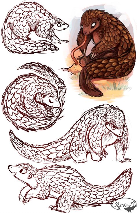 Pangolins by sharkie19 on DeviantArt Pangolin Character Design, Pangolin Tattoo, Pangolin Drawing, Pangolin Illustration, Pangolin Art, Atrapasueños Tattoo, Komodo, Sketch Inspiration, Animal Sketches