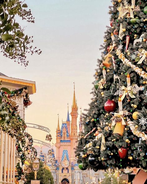 Disney Christmas Wallpaper Aesthetic, Orlando Christmas, Disney World Aesthetic, Christmas Instagram Pictures, Disney Poses, Alice In Wonderland Pictures, Christmas Wallpaper Iphone Cute, Disneyland Christmas, Disney World Rides