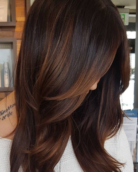 Copper Highlights For Dark Hair Highlights For Dark Brown Hair, Jamie Chung, Redken Shades Eq, Dark Hair With Highlights, Trendy Hair Color, Hair Color Highlights, Brown Hair With Highlights, Dark Brown Hair, Cool Hair Color