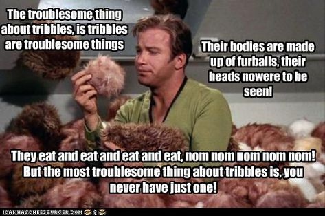 The Troublesome Thing about Tribbles. Star Trek Tribbles, Space Fiction, Star Trek Tattoo, Lennon Sisters, Fantasy Star, Funny Nerd, Star Trek Funny, Star Trek Original, Starship Enterprise