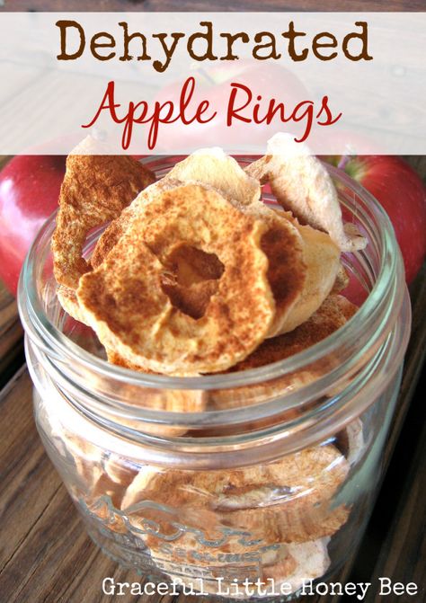 Dehydrated apple rings are a healthy snack that kids love! Dried Apple Rings, Cheap Snack, Dehydrated Apples, Apple Rings, Easy Tomato Sauce, Dehydrated Fruit, Dried Apples, Dehydrated Food, Snacks Für Party