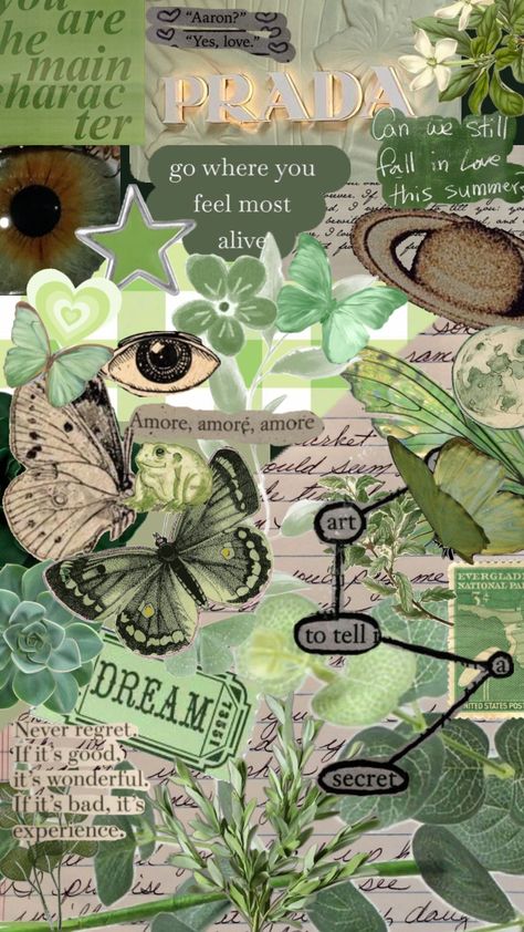 #green #greenaesthetic #greenmoodboard #greenboard #butterfly #butterflies #quotes #greenvibes #aesthetic #light #pastel Green Meaning, Butterflies Quotes, Light Green Butterfly, Butterfly Meaning, Butterfly Aesthetic, Butterfly Lighting, Aesthetic Light, Never Regret, Green Butterfly