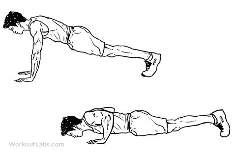 PUSH-UPS – THEIR HISTORY, BENEFICIAL EFFECTS, TYPES AND POTENTIAL RISKS Workout Labs, Types Of Cardio, Muscle Building Diet, Back Fat Workout, Push Up Workout, Men Exercises, Flatter Stomach, Build Muscle Mass, Best Ab Workout