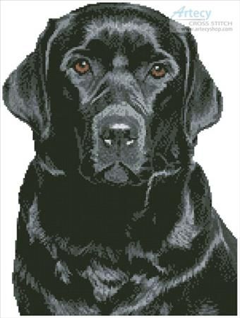 Black Labrador by Tereena Clarke Labrador Cross Stitch Pattern, Black Lab Cross Stitch, Lab Cross Stitch, Labrador Dogs, Black Labrador Dog, Dogs Black, Pointer Puppies, White Symbol, Learn Embroidery